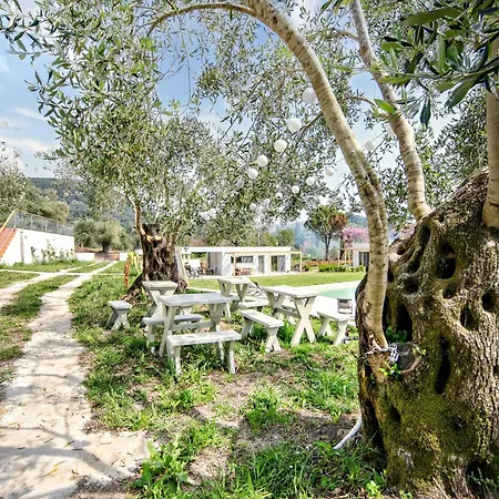 Kumquart Estate- Kumquat Lodge Aspiotades