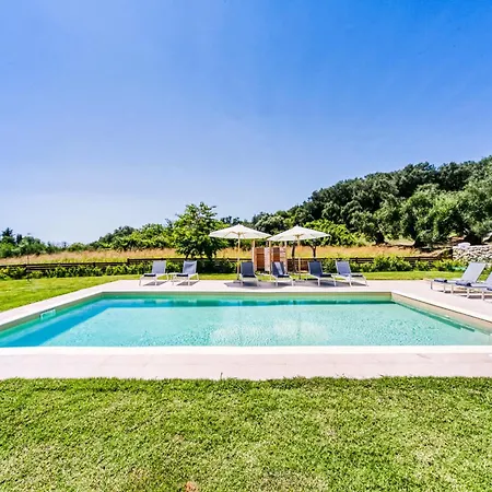 Orman Evi Kumquart Estate- Kumquat