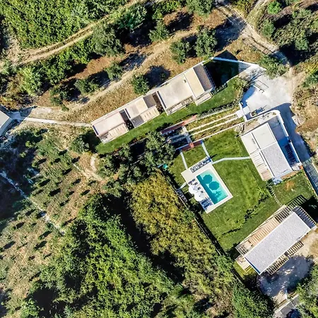 Cabană Kumquart Estate- Kumquat *