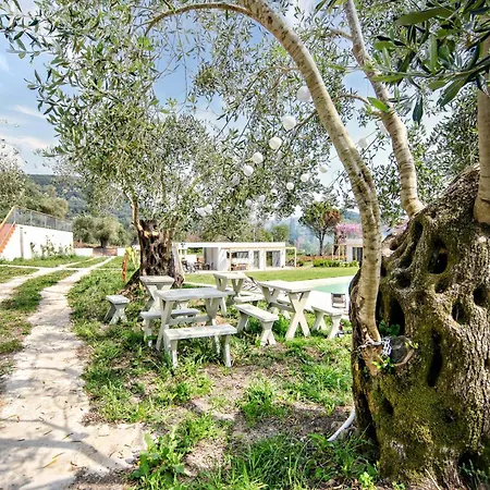 Kumquart Estate- Kumquat Orman Evi Aspiotades
