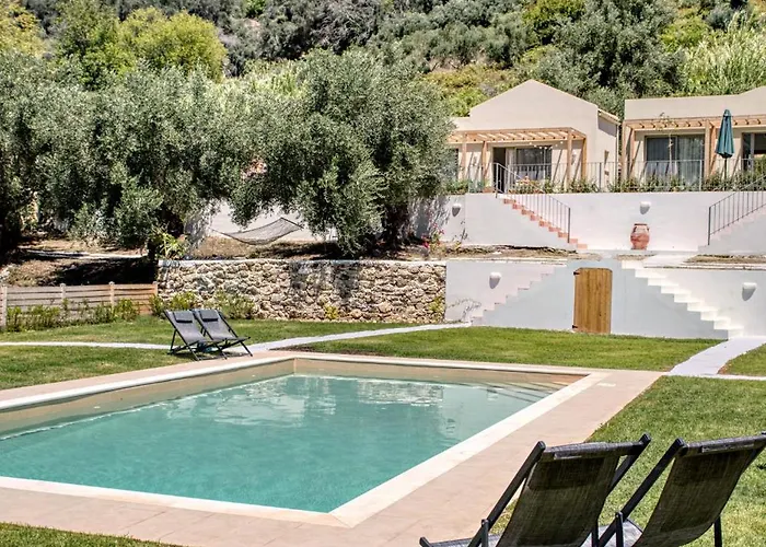 Kumquart Estate- Kumquat *