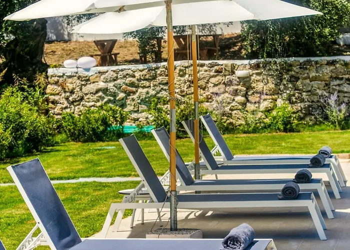 Kumquart Estate- Kumquat Aspiotades