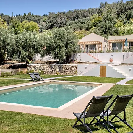 Kumquart Estate- Kumquat *