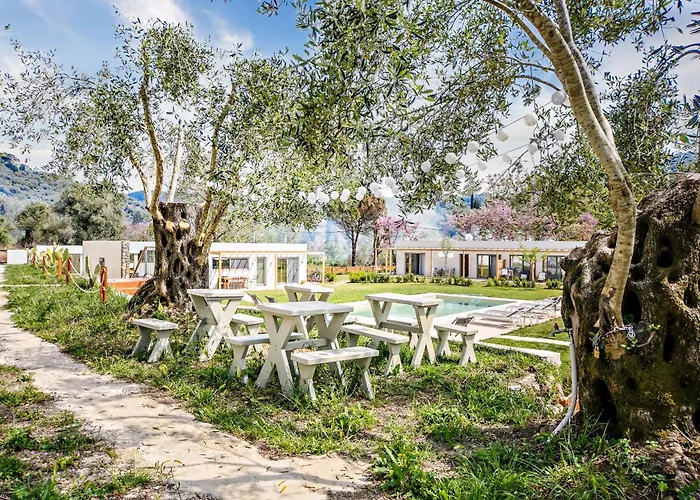 Kumquart Estate- Kumquat * Aspiotades